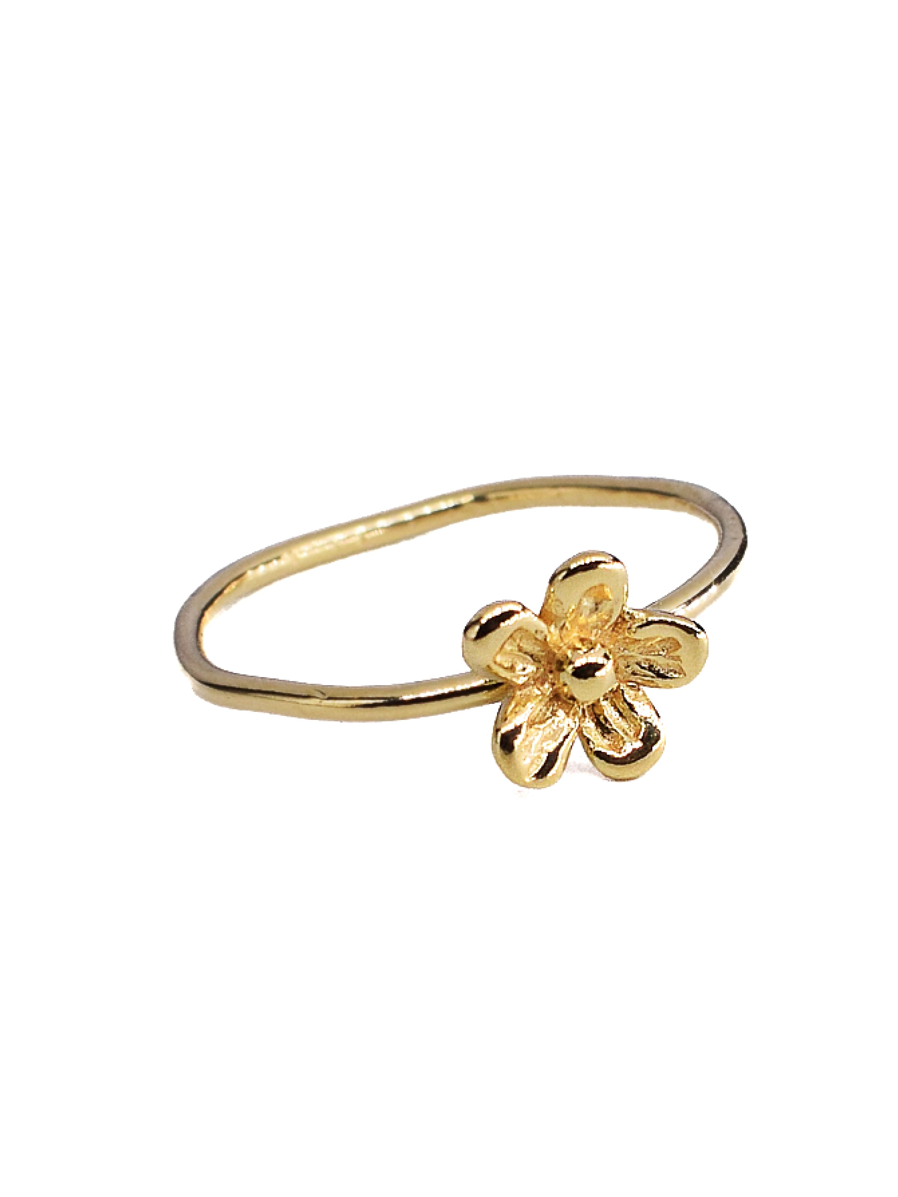 Giardino Ring